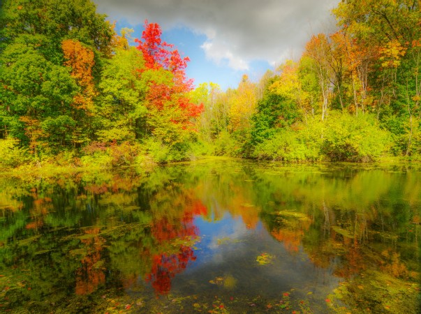 tn_900x450_1611-D1_3-Autumn_Dreamscape_-3c03bf3c1