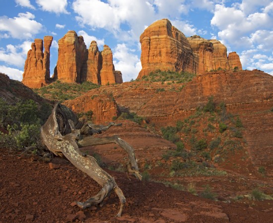 tn_900x450_1711_D3_SEDONA-SENTINELS_a330761