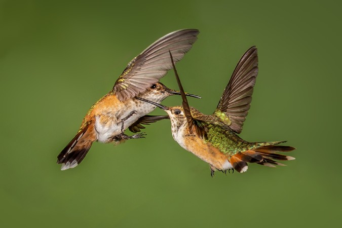 tn_900x450_1811_D3_TOUCHE_acbf14e