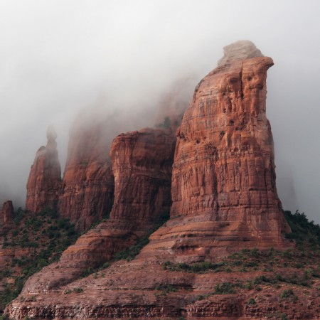 tn_900x450_1901_D2_MISTY-COFFEE_b54f514